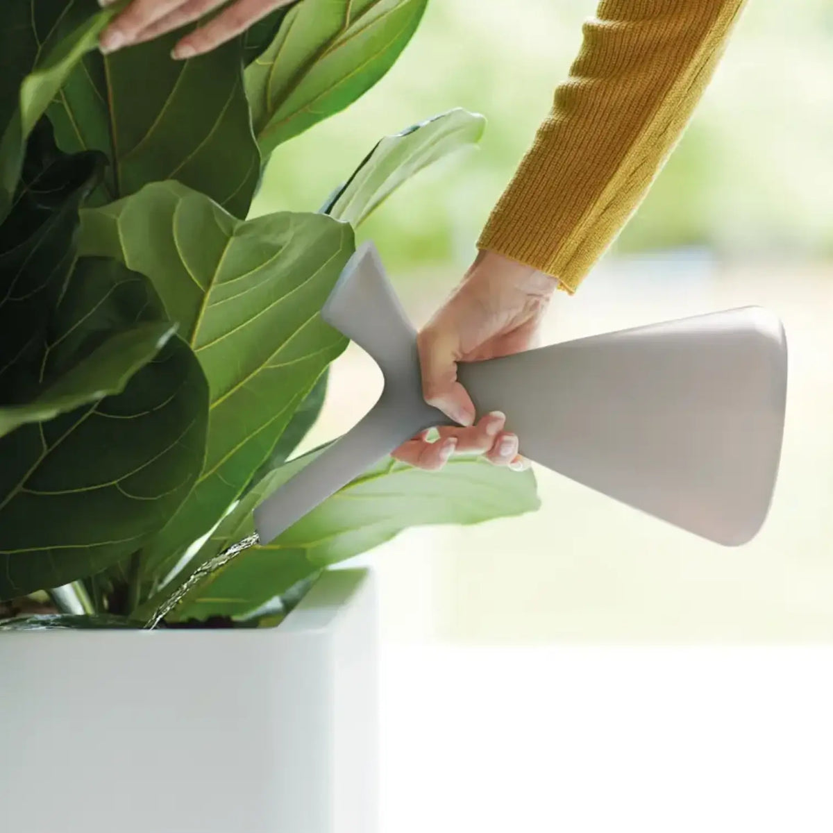 Plunge watering can on white background.