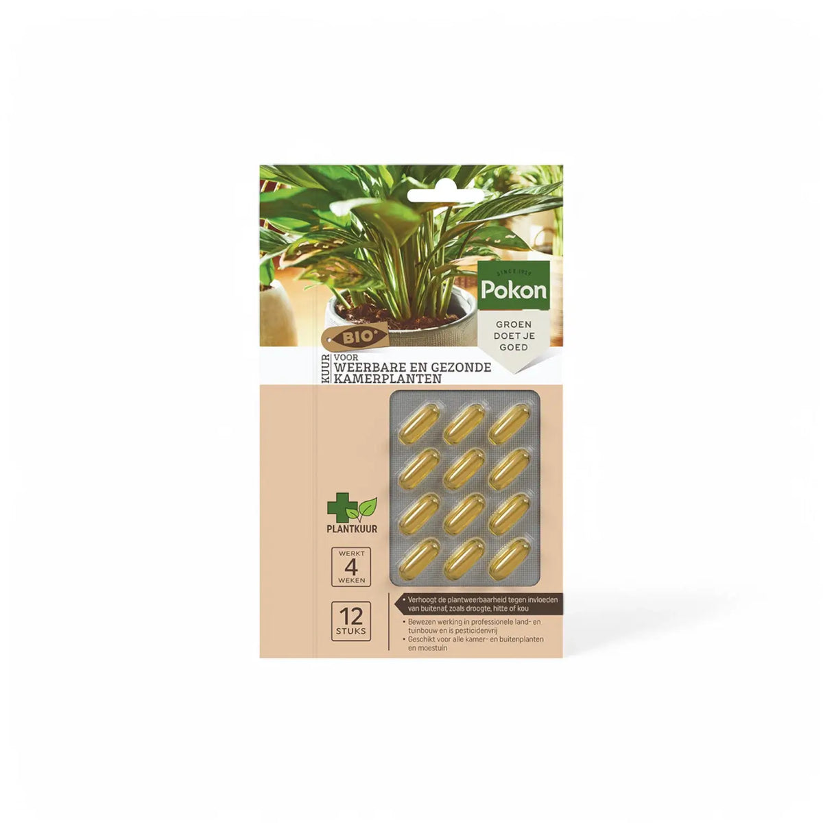 Pokon Bio Plant Cure Capsules on white background.