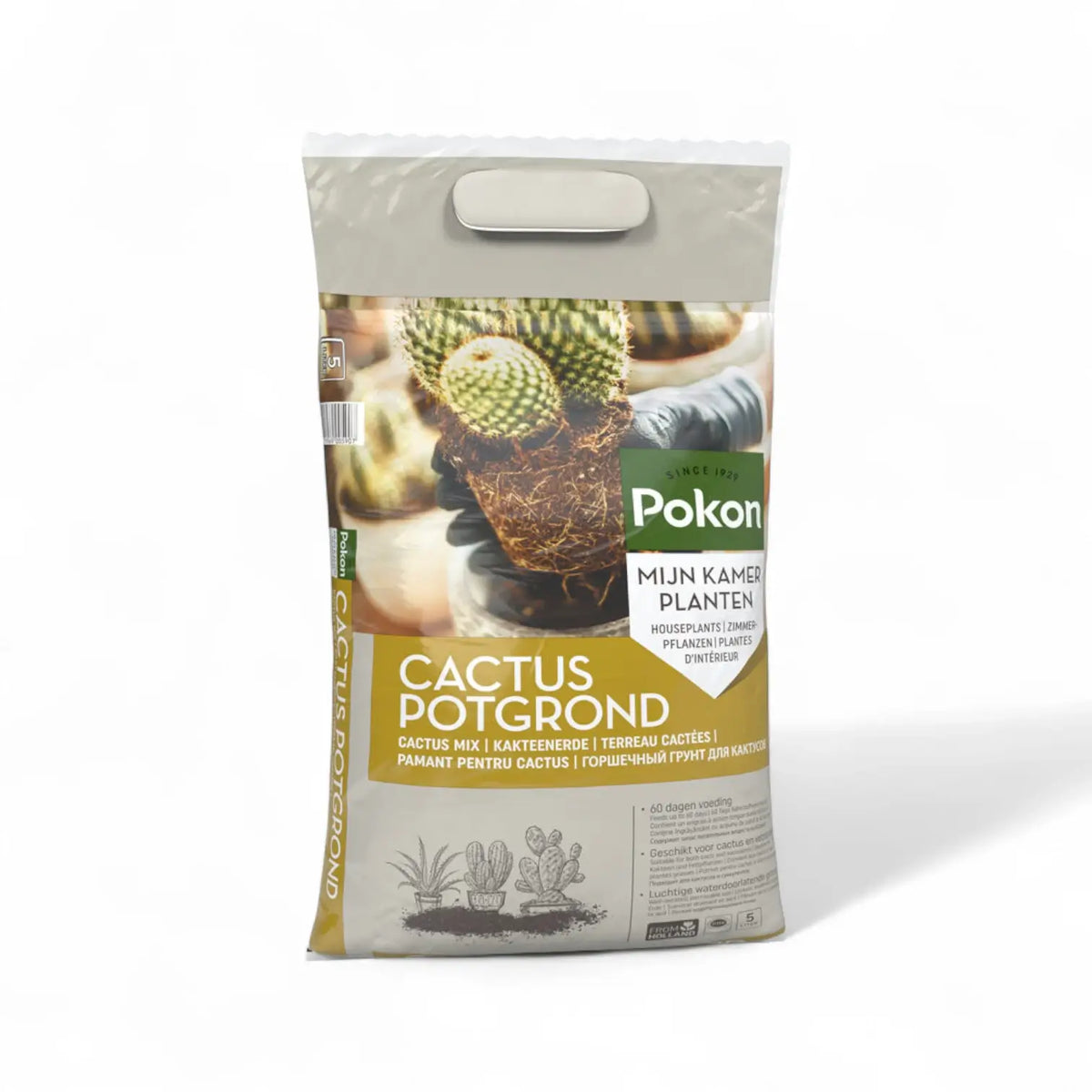 Pokon Cactus Potting Soil main product photo on white background.