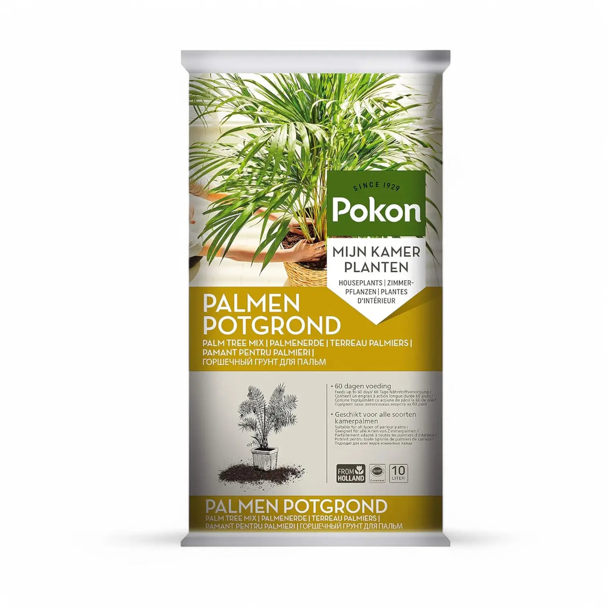 Pokon Palmenerde – Hauptproduktfoto vor weißem Hintergrund.