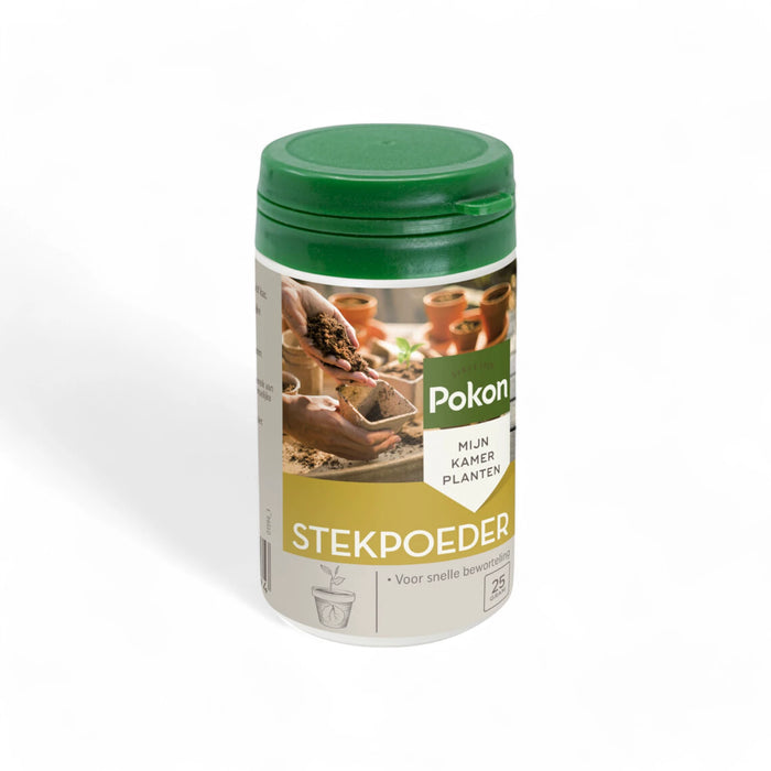 Pokon Stecklingspulver