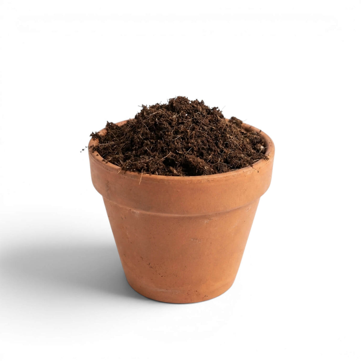 Terracotta pot filled with potting soil on a white background