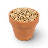 Terracotta pot filled with small pumice stones on a white background