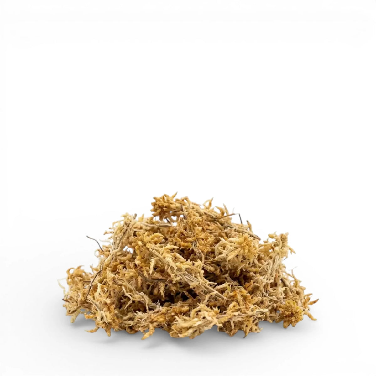 Sphagnum moss for terrariums, moss poles and node rooting