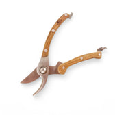 Stainless steel pruner main product photo on white background.