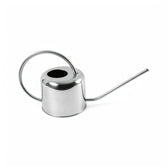 Steel watering can main product photo on white background.