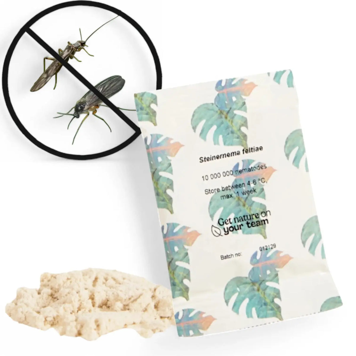 Steinernema feltiae - against Fungus Gnats & Thrips main product photo on white background.