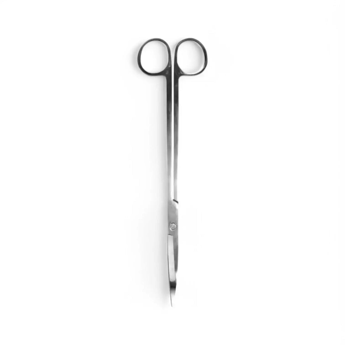 Terrarium scissors main product photo on white background.