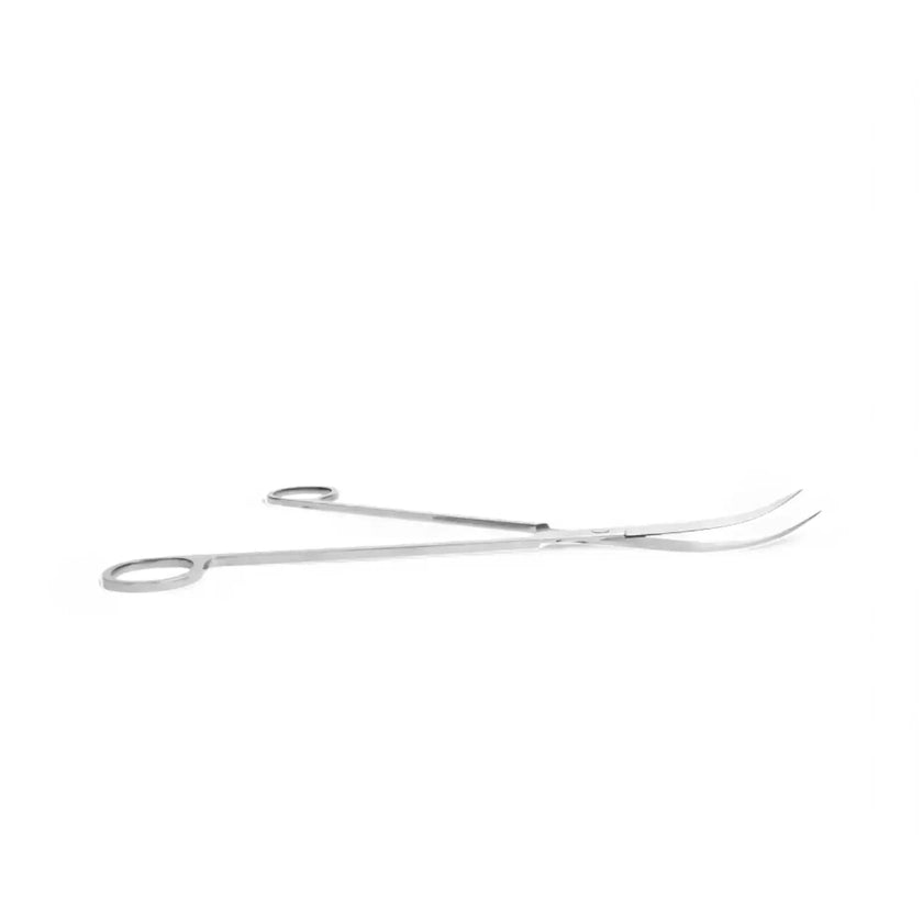 Terrarium scissors on white background.