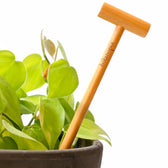 The Soil Checker auf weißem Hintergrund, Produktfoto 3.