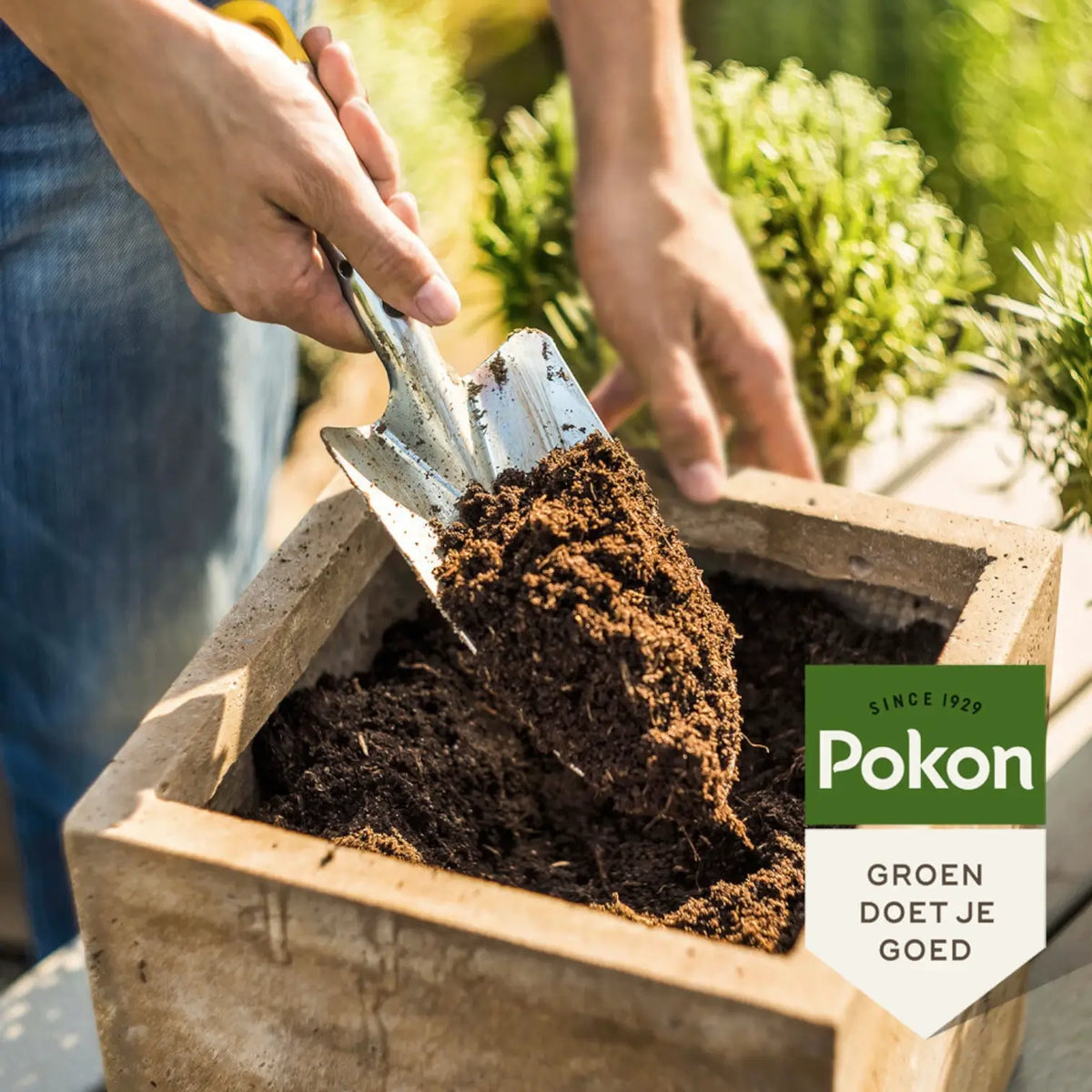 Universal Potting Soil Pokon on white background.