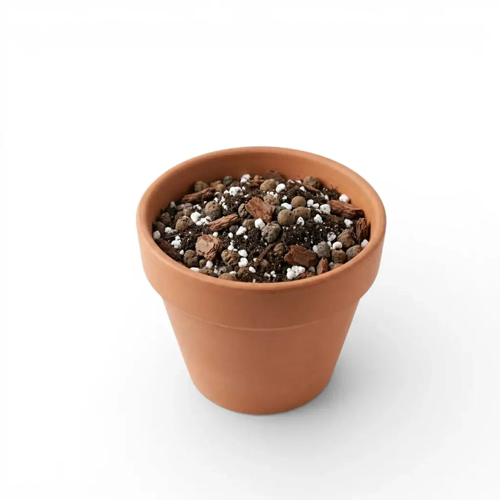 Terracotta pot with universal soil mix on a white background
