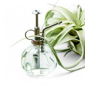 Vintage Glass Mister on white background.