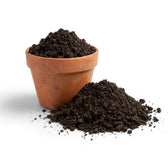 Terracotta pot filled with worm castings on a white background